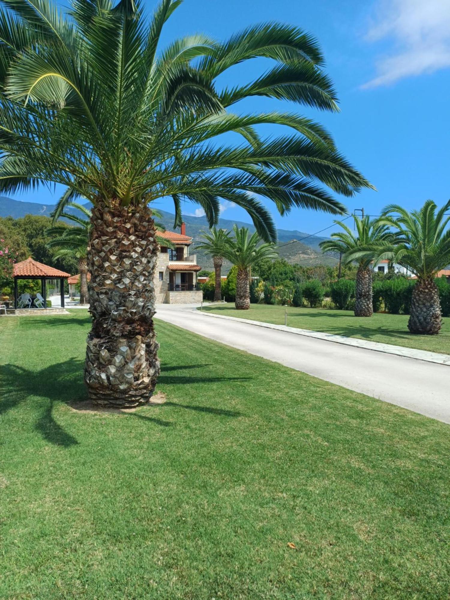 Platanidia Villa Kallimanis מראה חיצוני תמונה